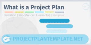 What is a Project Plan?